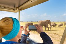 Safari vehicle on a game drive in East Africa